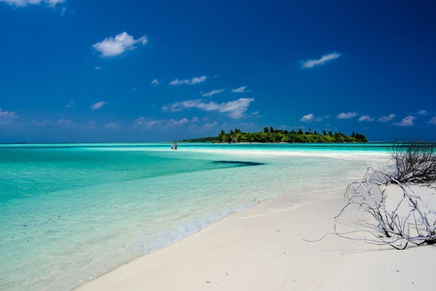 Maldive